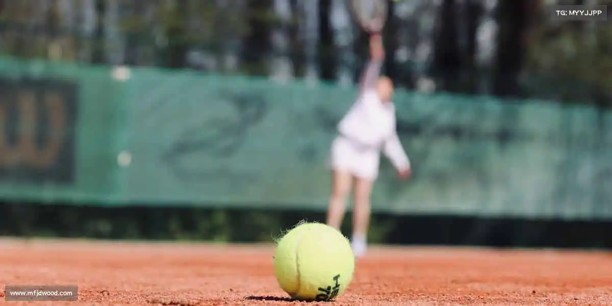 OB电竞官网——🏒冰场旋舞,刀锋逐梦!